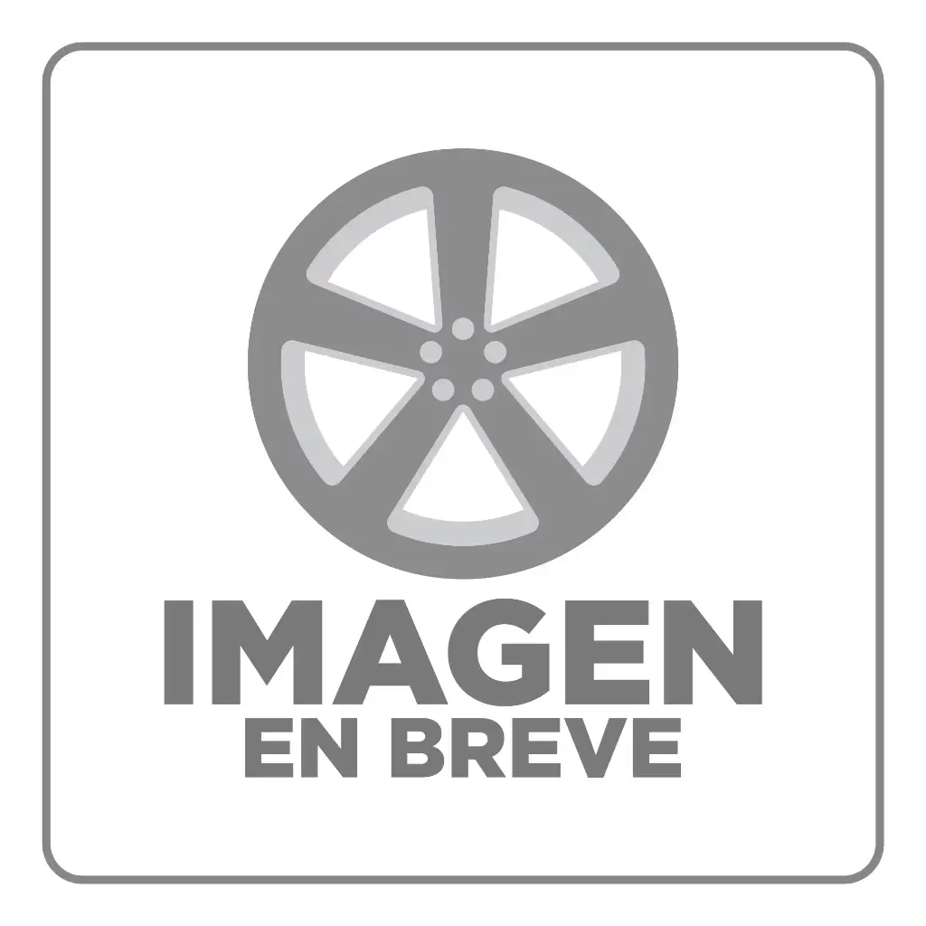 RIN 17X8 4-100/114.3 R1 SPORT 7953F BB GUNMETAL MI CROM RIVETS ET20 CB73.1